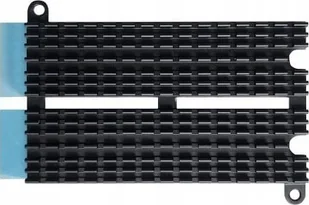 Asustor Asustor AS-HK1 M.2 Heatsink with M.2 Thermal Pad for FS67/AS-T10G3 - Akcesoria do komputerów stacjonarnych - miniaturka - grafika 1