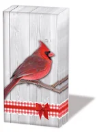 Apteczki i materiały opatrunkowe - Ambiente, Chusteczki do nosa Cardinal 21,5x22 cm, 10 szt. - miniaturka - grafika 1