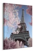 Obrazy i zdjęcia na płótnie - Eiffel Tower Infrared - obraz na płótnie - miniaturka - grafika 1