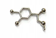 Broszki - PRZYPINKA, PIN, BROSZKA BROCHA - CZĄSTECZKA MOELKUŁA ADRENALINY, ADRENALINA - miniaturka - grafika 1