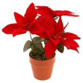 Ozdoby bożonarodzeniowe - Sztuczna gwiazda betlejemska, 22 cm - miniaturka - grafika 1