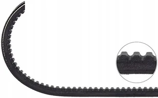 DAYCO Pasek klinowy 10A0940C - Rolki i napinacze - miniaturka - grafika 1