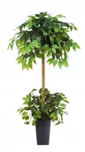 Sztuczne kwiaty - Fikus Sztuczny Drzewko Benjamin PREMIUM 150 cm - miniaturka - grafika 1