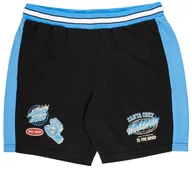 Spodenki męskie - spodenki męskie SANTA CRUZ TTE WORLDWIDE MESH SHORT BLACK - miniaturka - grafika 1