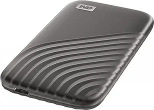 SanDisk Passport (WDBAGF0010BGY-WESN) - Dyski SSD - miniaturka - grafika 2