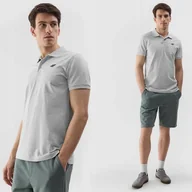Koszulki męskie - Koszulka Męska 4F Polówka z kołnierzykiem T-shirt Szary Sportowy S - miniaturka - grafika 1