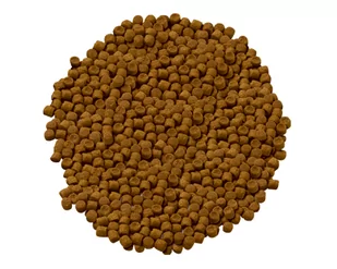 HILL'S SP Science Plan Feline Adult Jagnięcina 10kg + niespodzianka dla kota GRATIS! - Sucha karma dla kotów - miniaturka - grafika 2