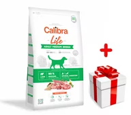 Sucha karma dla psów - Calibra Dog Life Adult Medium Lamb 12 kg + Niespodzianka dla psa GRATIS - miniaturka - grafika 1
