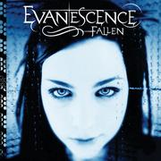 Fallen Evanescence Płyta CD)