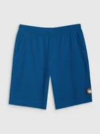 Spodenki męskie - SPODENKI MĘSKIE TSHOM536 4F XL - miniaturka - grafika 1