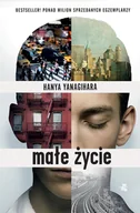 Literatura obyczajowa - Małe życie - miniaturka - grafika 1
