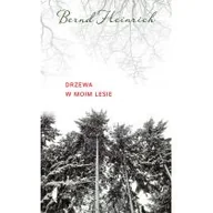 Felietony i reportaże - Drzewa w moim lesie - miniaturka - grafika 1