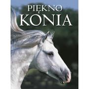 Piękno konia Nowa