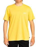Koszule męskie - Quiksilver Arch Crew SS Koszula męska (Paczka 1) - miniaturka - grafika 1