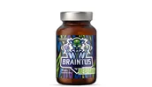 Układ nerwowy - Braintus Respawn na poprawę funkcji poznawczych OstroVit - miniaturka - grafika 1