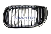 Atrapy i grille samochodowe - Kratka wlotu powietrza TRUCKTEC AUTOMOTIVE 08.62.298 51137042961 08.62.298 - miniaturka - grafika 1
