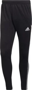 Adidas Spodnie adidas Condivo 22 M HC5559, Rozmiar: S 173cm - Spodnie sportowe męskie - miniaturka - grafika 1