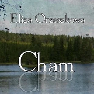 Cham Eliza Orzeszkowa - Audiobooki - literatura piękna - miniaturka - grafika 1