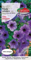 Nasiona i cebule - nasiona Petunia Fortunia zwisająca fioletowe 0,02g - Torseed - miniaturka - grafika 1