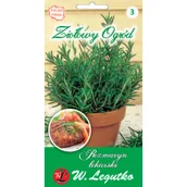 Nasiona i cebule - Legutko Rozmaryn lekarski - miniaturka - grafika 1