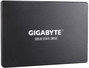 Gigabyte GP-GSTFS31256GTND 2 - Dyski SSD - miniaturka - grafika 1
