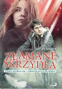 Złamane skrzydła Używana - Literatura obyczajowa - miniaturka - grafika 2