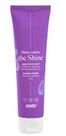 Odżywki do włosów - Anwen Here Comes The Shine Nabłyszczający primer do włosów wysokoporowatych - miniaturka - grafika 1