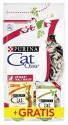 Sucha karma dla kotów - Karma sucha dla kota PURINA Cat Chow Special Care Urinary Tract Health, 1,5 kg + saszetki, 2x85 g - miniaturka - grafika 1