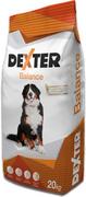 Sucha karma dla psów - DEXTER Balance Large Breed z witaminami 20kg - miniaturka - grafika 1