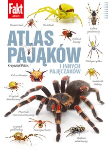 Fakt Album - Czasopisma - miniaturka - grafika 1