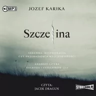 Audiobooki - kryminał, sensacja, thriller - szczelina - miniaturka - grafika 1