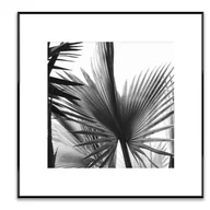 Obrazy i zdjęcia na płótnie - Obraz Artbox 50 x 50 cm AB082 LEAVES - miniaturka - grafika 1