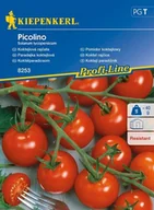 Nasiona i cebule - Kiepenkerl Pomidor koktajlowy Picolino F1 Solanum lycopersicum 102384 - miniaturka - grafika 1