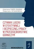 Technika - Czynnik ludzki w efektywnej i bezpiecznej pracy w przedsiębiorstwie górniczym - miniaturka - grafika 1