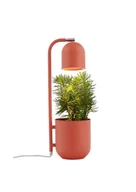 Lampy stojące - Kaspa Lampa stołowa Botanica 40846111 nowoczesna koralowa oprawa z doniczką 40846111 - miniaturka - grafika 1