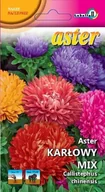 Nasiona i cebule - Aster karłowy mix 1g / L / - miniaturka - grafika 1
