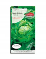 Nasiona i cebule - Nasiona Sałata głowiasta masłowa Ewelina 0,5g - Torseed - miniaturka - grafika 1