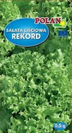 Nasiona i cebule - Sałata Rekord 0.5 g POLAN - miniaturka - grafika 1