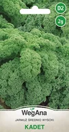 Nasiona i cebule - Jarmuż Kadet 2g nasiona - WegAna - miniaturka - grafika 1