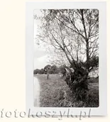 Ramki na zdjęcia - Biała, kartonowa ramka A4 (na zdjęcie 20x30) - miniaturka - grafika 1