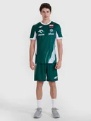 Spodenki męskie - 4F Spodenki meczowe replika męskie 4F x Polska Siatkówka - zielone M - miniaturka - grafika 1