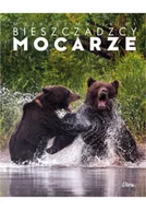 Albumy krajoznawcze - Album Bieszczadzcy mocarze - Walka niedźwiedzi - miniaturka - grafika 1