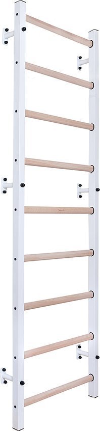 BenchK Drabinka gimnastyczna 710W