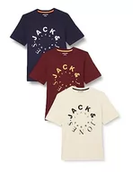 Koszulki męskie - JACK & JONES T-shirt męski, Moonbeam/Pack: Moonb+Navyb+Portr (duża skala), XL - miniaturka - grafika 1