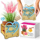 Nasiona i cebule - Prezent na DZIEŃ DZIADKA Trawa Pampasowa Różowa Zestaw do Uprawy NASIONA - miniaturka - grafika 1