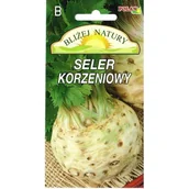 Nasiona i cebule - Seler korzeniowy 0,2 g - miniaturka - grafika 1