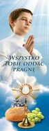 Ikony i obrazy sakralne - Baner na I Komunię Świętą "Wszystko Tobie oddać pragnę" 75x200 cm - miniaturka - grafika 1