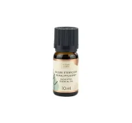 Aromaterapia - Nature Queen NATURE QUEEN Olejek eteryczny, EUKALIPTUS, 10 ml 5902610970412 - miniaturka - grafika 1