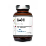 Przeziębienie i grypa - NutriScence NADH dinukleotyd nikotynoamidoadeninowy (60 kapsułek) - NutriScience B8F1-513DE - miniaturka - grafika 1