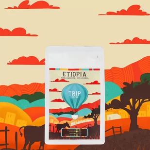 Kawa ziarnista Trip Coffee Etiopia 250g - Kawa - miniaturka - grafika 1